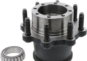 Rodamiento y Maza de Rueda Dana 10024091