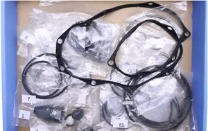 Kit de Revisión Zf 1090298136