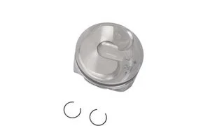 Pistón Gm Genuine 12656875