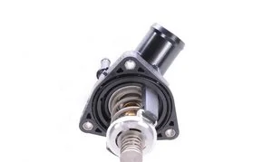 Termostato Gm Genuine 1511113