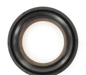 Sello de Tapa de Distribución Skf 20024