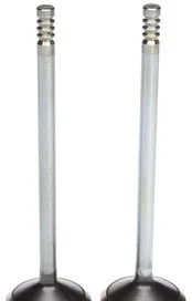 Válvula de Escape Mahle / Clevite 2114664