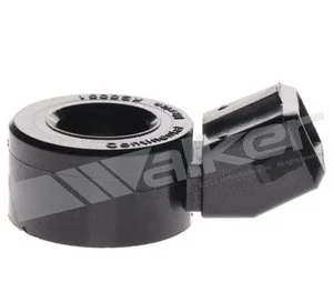Sensor de Detonación Walker Products 2421322