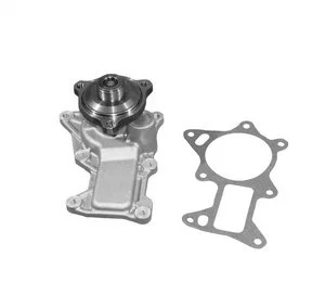 Bomba de Agua Acdelco 252917