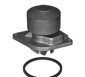 Bomba de Agua Acdelco 252920