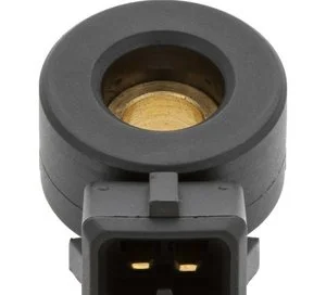 Sensor de Detonación Holstein 2KNC0203