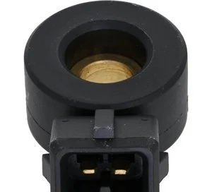 Sensor de Detonación Holstein 2KNC0396