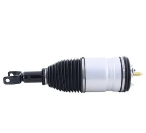 Amortiguador Monroe 40313