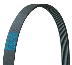 Correa Dayco 5080539