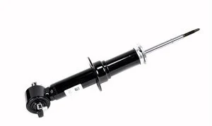 Amortiguador Gm Genuine 5401713