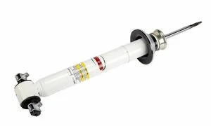 Amortiguador Gm Genuine 5401735