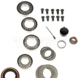Kit de Revisión de Diferencial Dorman 697101