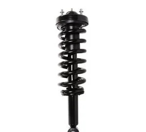 Ensamblaje de Puntal / Amortiguador y Espiral Prt 710081
