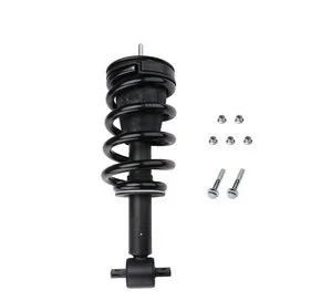 Ensamblaje de Puntal / Amortiguador y Resorte Espiral Prt 710413
