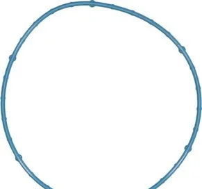 Empaquetadura de Cuerpo de Aceleración Victor Reinz 711036200