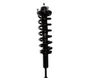Ensamblaje de Puntal / Amortiguador y Espiral Prt 713198L