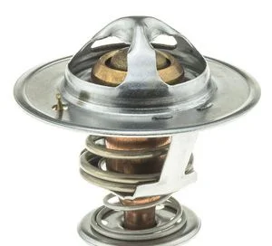 Termostato Motorad 742194