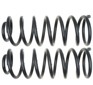 Espiral Moog 81099