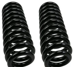 Espiral Moog 81118