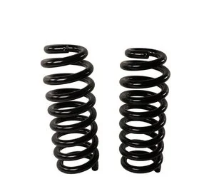 Espiral Moog 81768