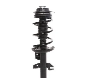 Ensamblaje de Puntal / Amortiguador y Espiral Prt 818603