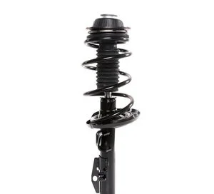 Ensamblaje de Puntal / Amortiguador y Espiral Prt 818927