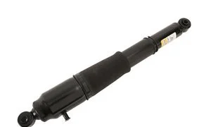 Amortiguador Gm Genuine 85669840