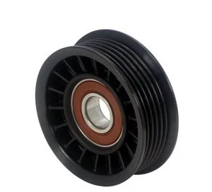 Polea de Tensor Litens 900027A
