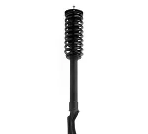 Ensamblaje de Puntal / Amortiguador y Resorte Espiral Prt 920846