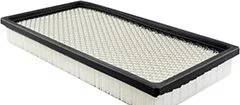 Filtro de Aire Hastings / Baldwin AF899