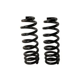 Espiral Moog CC81764