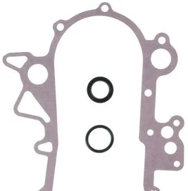 Empaquetadura de Tapa de Distribución Mahle / Clevite JV5162