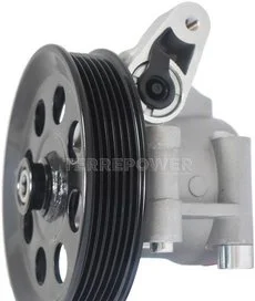 Bomba de Dirección Hidráulica Terrepower N7120192A1