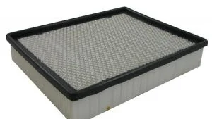 Filtro de Aire Fvp P2487