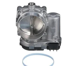 Cuerpo de Aceleración Standard Motor Products S20203