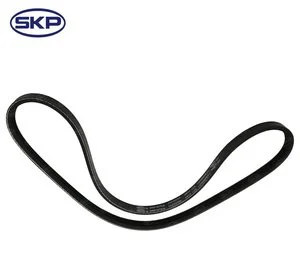 Correa Skp SK030293