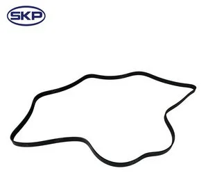 Correa Skp SK060888