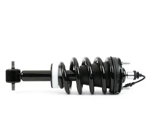 Ensamblaje de Puntal / Amortiguador y Espiral Arnott SK4261