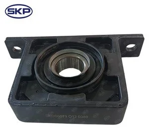 Rodamiento de Soporte Central de Cardán Skp SKDS6079