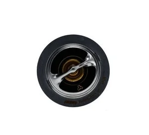 Termostato Aisin THRFD0001