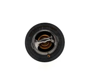 Termostato Aisin THRFD0002