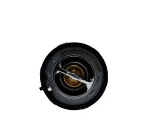 Termostato Aisin THRGM0002