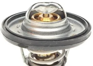 Termostato Mahle / Clevite TX49890D